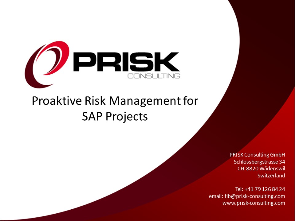Proaktive Risk Management for SAP Projects