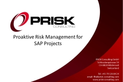 Proaktive Risk Management for SAP Projects