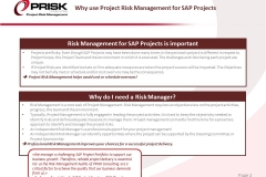Why use Project Risk Management for SAP Projects