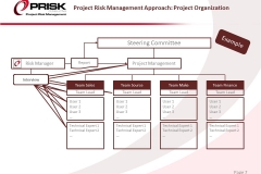 Project Risk Management Approach: Project Organization