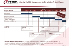 Aligning the Risk Management Audits with the Project Phases